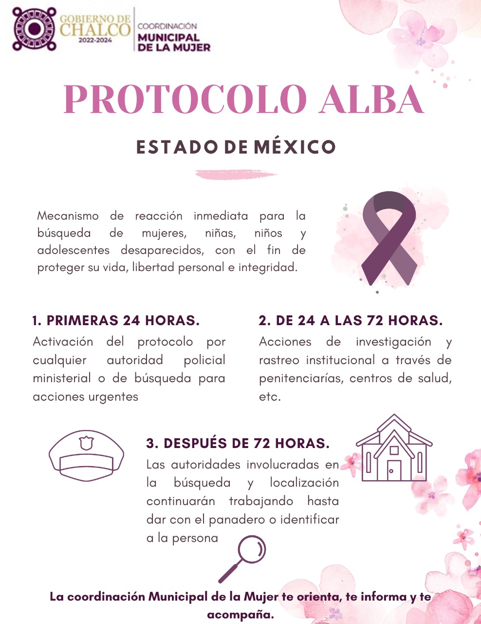 Protocolo Alba – Dirección De Las Mujeres